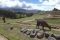 Ingapirca Inka-Canari ruins Ecuador